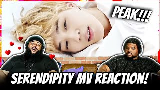 BTS Serendipity Reaction [upl. by Mcripley6]