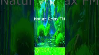 Ethiopia Music ethiopian music naturerelaxfm flowers ethopianmusic [upl. by Rudolf14]