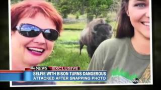 Bison Attacks Woman Posing For Selfie At Yellowstone National Park [upl. by Enyaht]