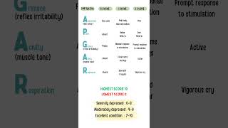 APGAR Score pediatrics nursing nursingofficer nursingnotes [upl. by Gannie23]