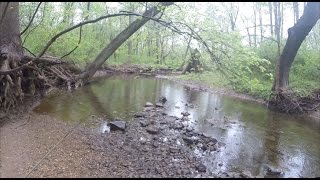 Creek fishing for bluegill sunfish and bream  pole fishing [upl. by Enautna919]