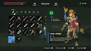 The Legend of Zelda BotW  Emplacement des armes Piaf [upl. by Barde282]