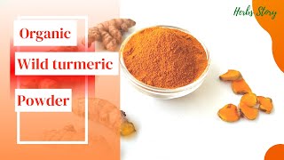 How to make wild turmeric powder at home  turmeric benefits  raw turmeric to powder [upl. by Eemak]