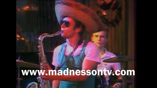 Madness  Night Boat to Cairo French TV 1980 [upl. by Wendye]