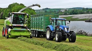 Silage 2017  New Claas Jaguar 970 And TriAxle Trailers [upl. by Paik778]