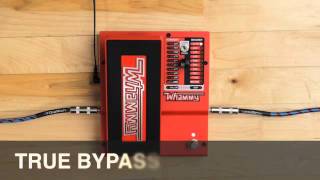 DigiTech Whammy Demo Video with Jonni Lightfoot [upl. by Granese]