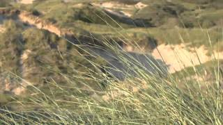 Egmond aan Zee  North Holland Full HD [upl. by Legin]