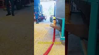 Small portable grain dryer can be pulled around corn dryer factory video grain machinery [upl. by Anniram]