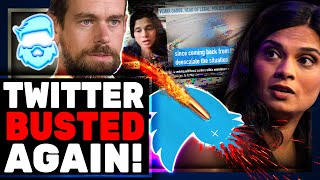 HUGE New Twitter LEAKS Lead To Stock PLUMMETING More Deplatforming Coming Parler Comes Back Online [upl. by Crispa]