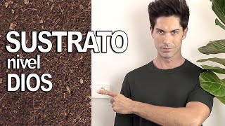 🌿 COMO preparar el MEJOR SUSTRATO para PLANTAS de INTERIOR y SUCULENTASPasa al siguiente nivel💚 [upl. by Aihsatan]