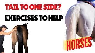 Horse Tail Exercises How to do Horse tails to one side [upl. by Rhoads]