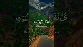 kullu nafsinzaikatul mout Quranrecitation quranicinspirationmillionviewsduet millionsubscribers [upl. by Lednahc]