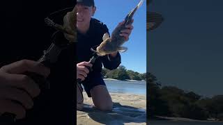 Good weekend at Bribie fishingaustralia australia fish flathead bribieisland [upl. by Harold]