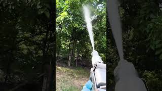 Spraying Bagworms POV [upl. by Three]