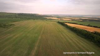 Жътва на ‪‎Silybum‬ marianum в сАврен производител Farmland Bulgaria ‪ [upl. by Ramej108]