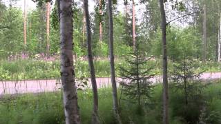 Neste Oil Rally Finland 2015 crashes amp action [upl. by Hylan]