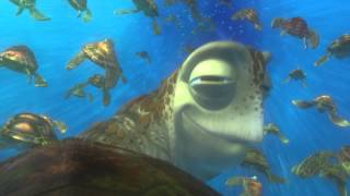 FINDING NEMO 3D Clip  Exit Buddy [upl. by Dewitt]