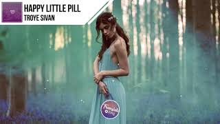 แปลเพลง Happy Little Pill  Troye Sivan [upl. by Enirod495]