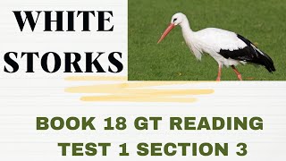 BOOK 18 TEST 1 SECTION 3  WHITE STORKS  GENERAL READING PRACTICE [upl. by Pappano]