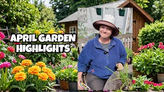 My Gardening Vlog for the week ending 20th April 2024 [upl. by Arber]