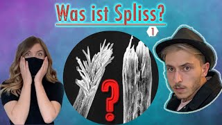 Was ist Spliss  Friseur erklärt [upl. by Ayouqat]