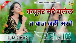 कबूतर मरे गुलेल त बाज नहीं मरते  3D Brazil Mix  Insta Viral Dj Song  Yaar Tera Khalnayak Dj Song [upl. by Gautious268]