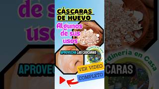 ¡las cáscaras de huevo son más útiles de lo que piensas Parte 2🥚 fyp jardineríaencasa fypシ゚viral [upl. by Berkly673]