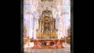 Vier Präludien für Orgel  Nicolaus Bruhns 1665  1697 [upl. by Leifeste389]