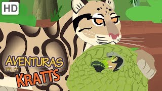 Aventuras com os Kratts  Criaturas Selvagens Que você Deve estar Ciente [upl. by Allenod]