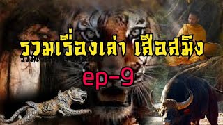 รวมเรื่องเล่า เสือสมิง ep9 [upl. by Ashleigh]