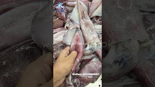 Loligo Squid Raw Material  HIFAA SEAFOODS  PAKISTAN hifaaseafoods wildcaught SquidClean [upl. by Solrac]