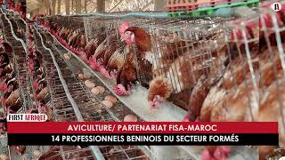 AVICULTURE PARTENARIAT FISA MAROC 14 PROFESSIONNELS BENINOIS DU SECTEUR FORMÉS [upl. by Nnylhsa]