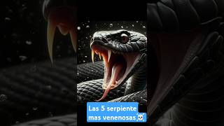 Las 5 serpientes 🐍más venenosas del mundo 🌍☠️ [upl. by Nealy77]