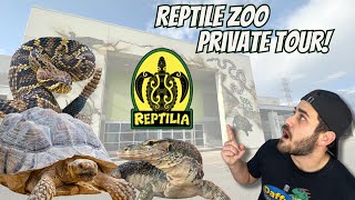 Reptile Zoo Tour Monitors amp Venomous Snakes At Reptilia [upl. by Notnats467]