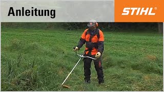 MähtechnikTipp Mähen im hohen Gras mit einer STIHL Motorsense [upl. by Hsital]