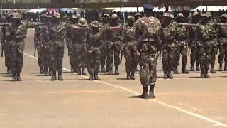 The Most Insane Military Parades [upl. by Malachi]