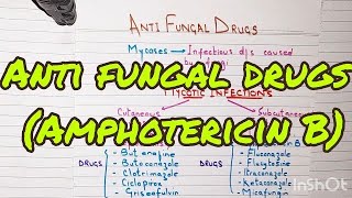 Introduction amp Amphotericin B  Anti Fungal Drugs  Pharmacology [upl. by Nirrej]