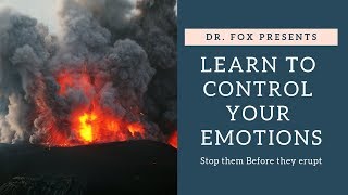 How You Can Control Your Emotions with Dr Fox  Affective Regulation [upl. by Berlyn69]