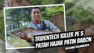 Tridentech Killer PE 5 Patah Hajar Patin Babon [upl. by Helgeson209]