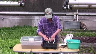 How to Test Your Compost [upl. by Philis]