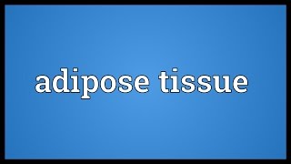 Adipose tissue Meaning [upl. by Jeannine]