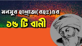 মনসুর হাল্লাজ রহঃ এর ১৫ টি বানী। Mansoor Hallaj 15 quotes [upl. by Fishback]