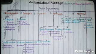 Classification of Phylum Pteridophyta according to Reimers Classification  YashPartner [upl. by Victor716]