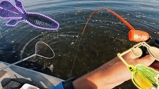 Poisson inattendu au flipping  Pêche au lac StPierre [upl. by Yerggoeg]