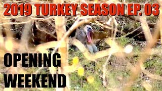 Tennessee Opening Weekend on PUBLIC LAND  2019 Turkey Season Ep 03 [upl. by Ytsanyd]