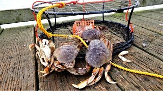 Catch n Cook Dungeness Crab Part 1 of 3 Crab and Salmon Trip in Crescent City CA [upl. by Judenberg]