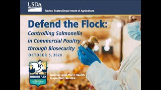 Controlling Salmonella in Commercial Poultry through Biosecurity [upl. by Kora]