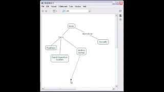 CmapTools How to Construct a Concept Map [upl. by Kaspar]