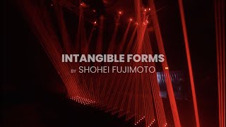 INTANGIBLE FORMS by Shohei Fujimoto  ARTECHOUSE DC [upl. by Micky984]