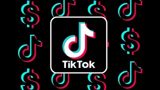 Bytedance Tiktok Experienced Software Engineer Interview  🤓  Intro video 😊 [upl. by Azeria]